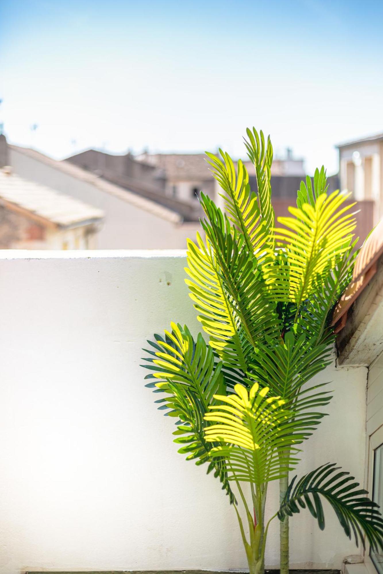 Le Albert 1Er Beziers Appartements Tout Equipes מראה חיצוני תמונה